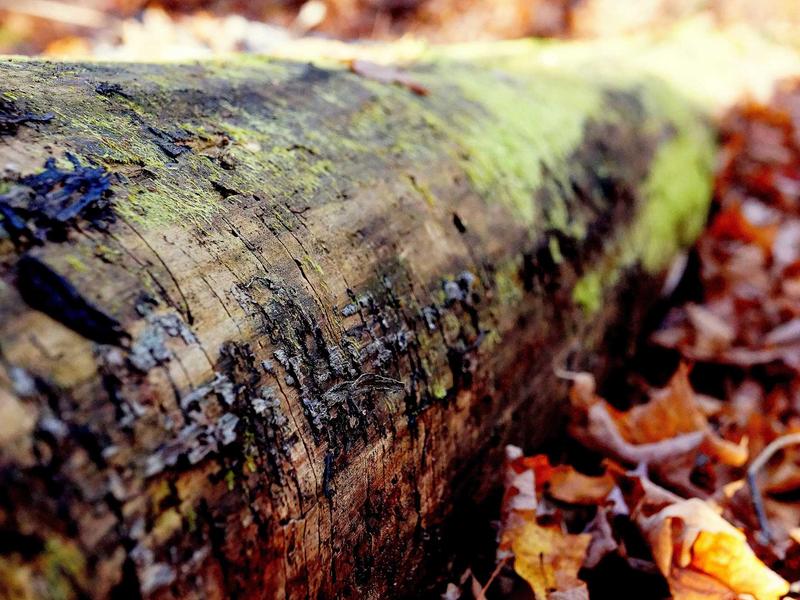 sudoku focus mode screenshot 4